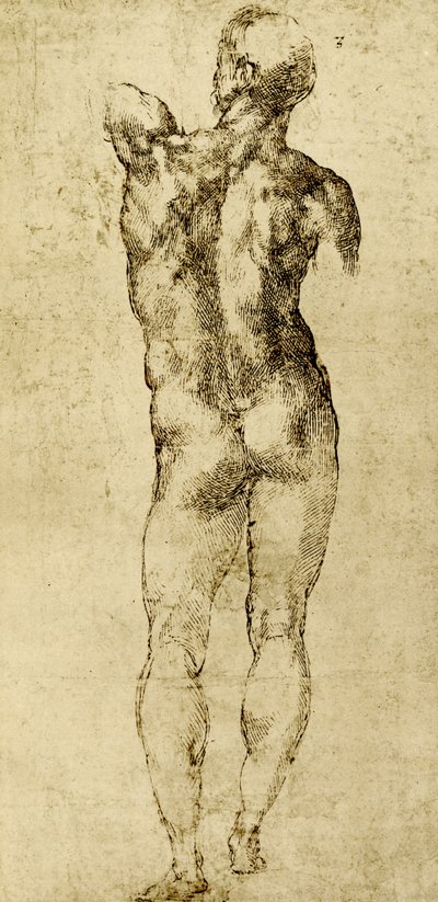 Akt męski autorstwa Michelangelo Buonarroti
