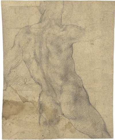 Akt męski autorstwa Michelangelo Buonarroti