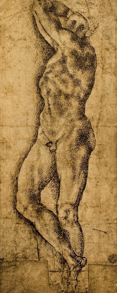 Akt męski; rysunek Michała Anioła. Luwr, Paryż autorstwa Michelangelo Buonarroti