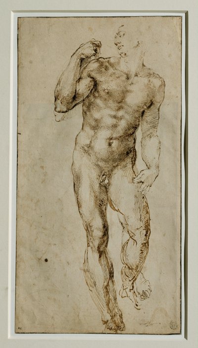 Akt męski, widok z przodu, ok. 1502-1506 ... autorstwa Michelangelo Buonarroti