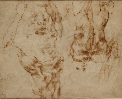 Studia aktowe, c1490-1560 autorstwa Michelangelo Buonarroti