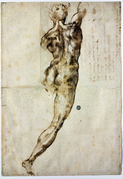 Akt od tyłu, ok. 1504 autorstwa Michelangelo Buonarroti