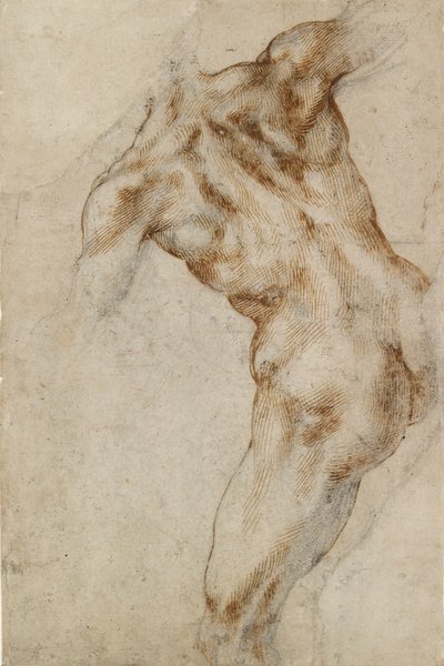 Nagi męski tors, początek XVI w. autorstwa Michelangelo Buonarroti