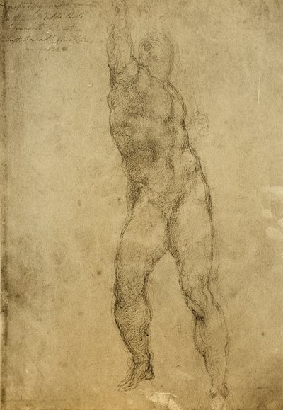 Studium aktu, rysunek Michała Anioła. Gallerie dellAccademia, Wenecja autorstwa Michelangelo Buonarroti