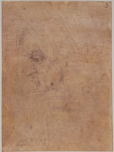 Profil starej kobiety autorstwa Michelangelo Buonarroti