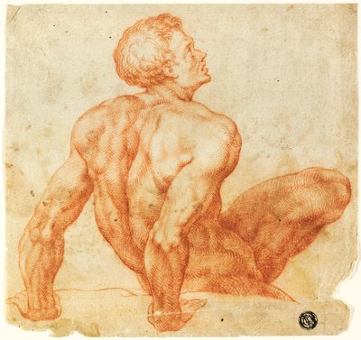 Siedzący mężczyzna nago autorstwa Michelangelo Buonarroti