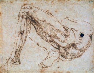 Badanie nogi autorstwa Michelangelo Buonarroti