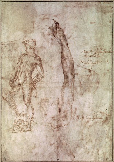 Studium dla Dawida (pióro i tusz na papierze) autorstwa Michelangelo Buonarroti