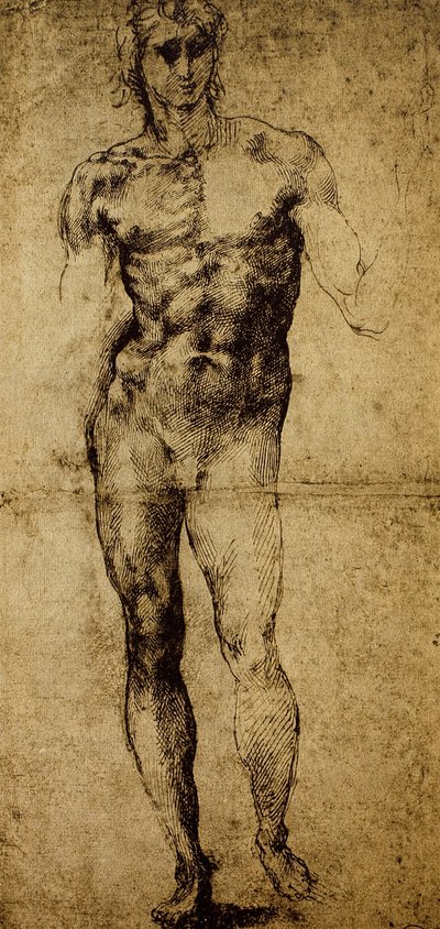 Studium aktu męskiego, Michelangelo Buonarroti (1475-1564), rysunek, Paryż, Luwr autorstwa Michelangelo Buonarroti