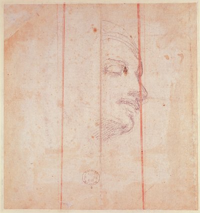 Studium dla głowy libijskiej Sybilli (czarna kreda na papierze) (verso) autorstwa Michelangelo Buonarroti