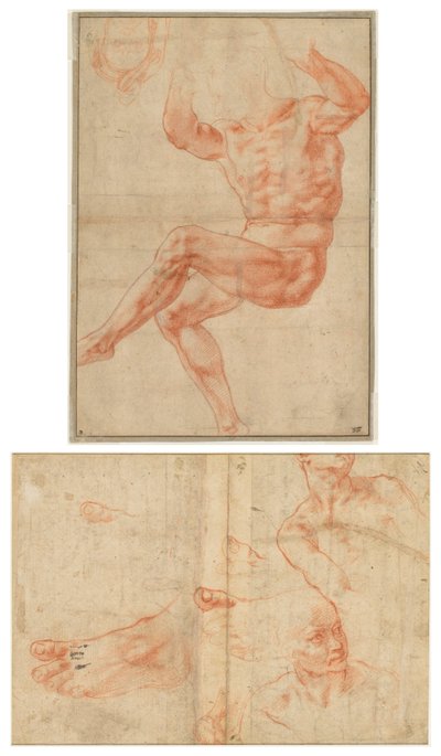 Studium dla nagiej młodzieży nad prorokiem Danielem (recto); Badania figur dla sufitu Sykstyńskiego (verso) autorstwa Michelangelo Buonarroti