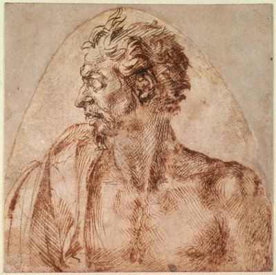 Studium głowy i ramion (tusz na papierze) autorstwa Michelangelo Buonarroti