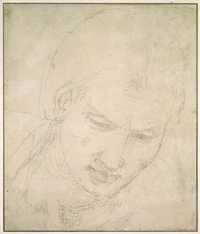 Studium głowy (czarna kreda na białym papierze) autorstwa Michelangelo Buonarroti
