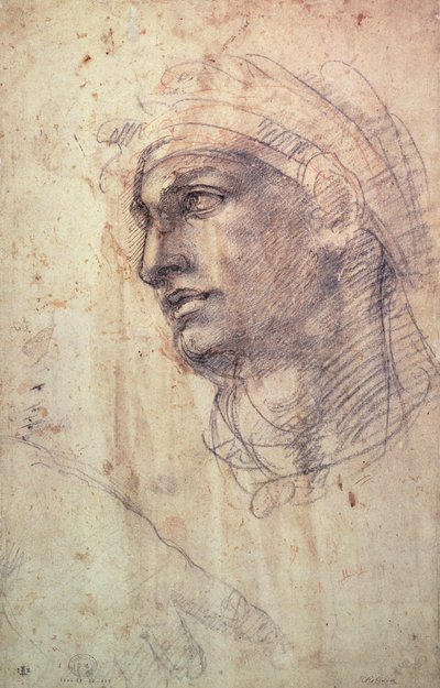Studium głowy (węgiel na papierze) autorstwa Michelangelo Buonarroti