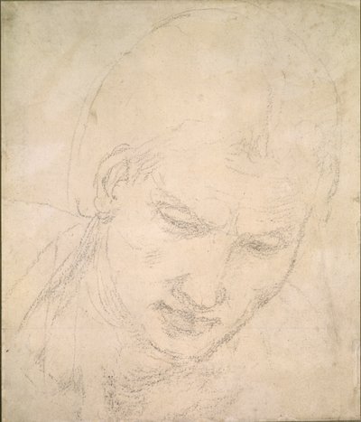 Studium Głowy, c1490-1560 autorstwa Michelangelo Buonarroti