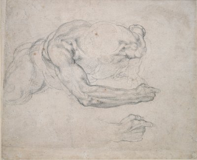 Studium człowieka powstającego z ziemi, XVI wiek autorstwa Michelangelo Buonarroti