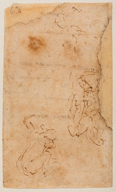 Badanie danych liczbowych autorstwa Michelangelo Buonarroti