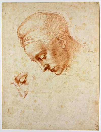 Studium naczelnika Ledy, ok. 1530 autorstwa Michelangelo Buonarroti