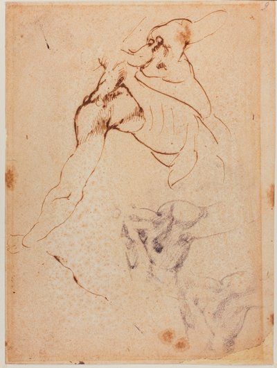Studium torsu do "Bitwy pod Casciną", XVI wiek (rysunek) autorstwa Michelangelo Buonarroti