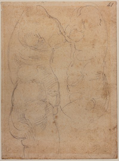 Dwa badania starożytnej Wenus autorstwa Michelangelo Buonarroti