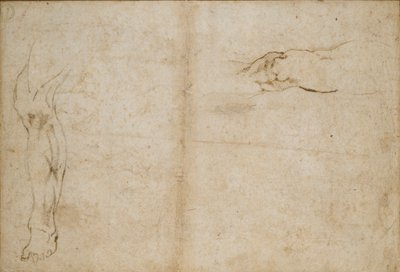Verso: Studia nogi mężczyzny, c1490-1560 autorstwa Michelangelo Buonarroti