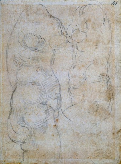 Dwa badania oparte na torsie starożytnej kobiety autorstwa Michelangelo Buonarroti