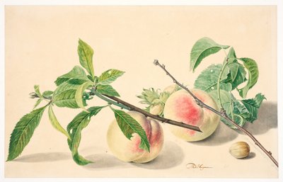 Martwa natura z brzoskwiniami i orzechami laskowymi autorstwa Michiel Van Huysum