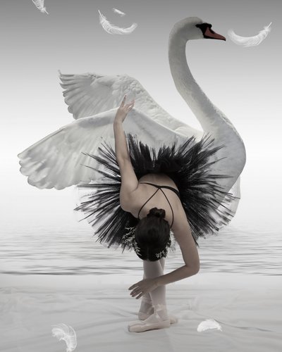 Balerina „Czarny łabędź” autorstwa Mieke