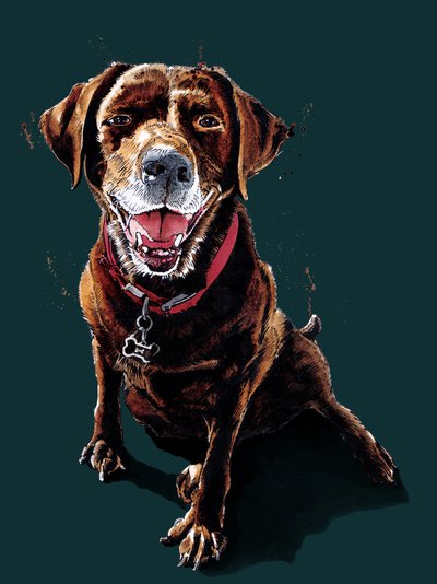 Nessa The ChocLab o Deep Cyan, 2020 autorstwa Mike Davis