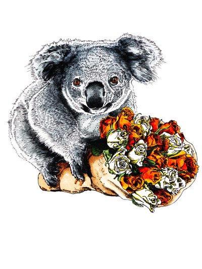 Dzięki Koala na białym, 2020 autorstwa Mike Davis