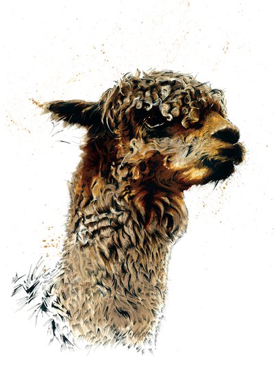 Alpaka na białym, 2019 autorstwa Mike Davis
