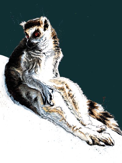 Lazy Lemur na Midnight Blue, 2020 autorstwa Mike Davis
