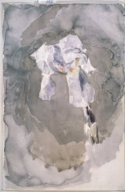 Biała irys autorstwa Mikhail Aleksandrovich Vrubel