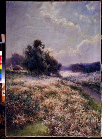 Kwitnąca Łąka (Kwitnąca Łąka). Malarstwo Michaiła Andriejewicza Berkosa (1861-1919). olej na płótnie autorstwa Mikhail Andreyevich Berkos