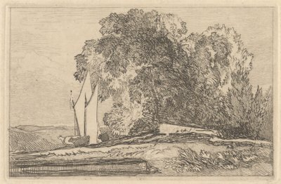 Studium drzew na brzegach Yare autorstwa Miles Edmund Cotman