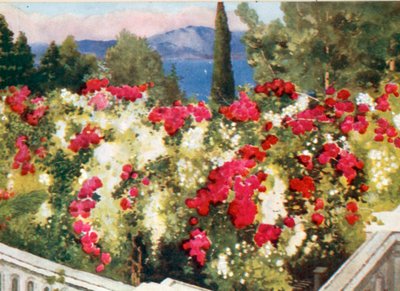 Różana Pergola, Achilleion, Korfu autorstwa Mima Nixon