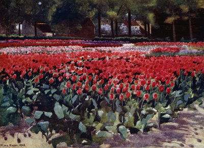 Tulipany w najlepszym wydaniu (kolor lito) autorstwa Mima Nixon