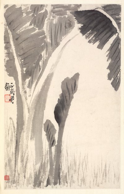 Rośliny bananowe, 1788. autorstwa Min Zhen