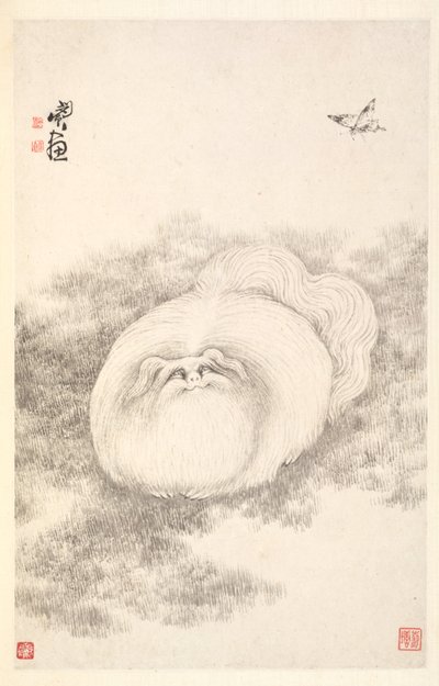 Kot i motyl, 1788. autorstwa Min Zhen