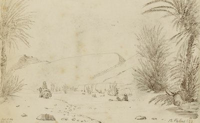 Palmy autorstwa Miner Kilbourne Kellogg
