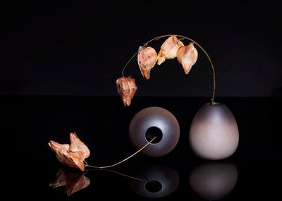  autorstwa Ming Chen