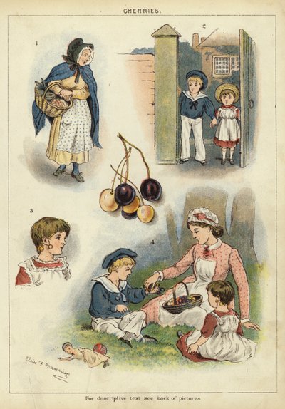 Wiśnie (chromolitho) autorstwa Miss Eliza F. Manning