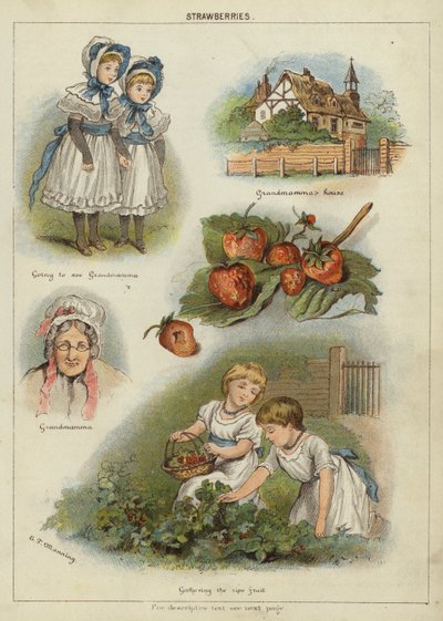 Truskawki (chromolitho) autorstwa Miss Eliza F. Manning