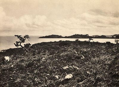 „Budowanie imperium” w epoce faszystowskiej: Jezioro Tana. Etiopia, 09.05.1936 (zdjęcie czarno-białe) autorstwa Modestino Baldinetti