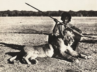 „Budowanie imperium” w epoce faszystowskiej: przykład lwa, 09.05.1936 (zdjęcie czarno-białe) autorstwa Modestino Baldinetti