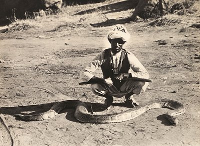 د فاشیست په دوره کې د امپراتورۍ جوړول: انډیجین د پاتون سره، 09/05/1936 (b/w عکس)پولي autorstwa Modestino Baldinetti