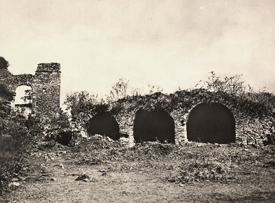 Budowanie imperium w epoce faszystowskiej: rów lwów w zamku króla Fasiladasa w Gondar, Etiopia, 09.05.1936 (zdjęcie czarno-białe) autorstwa Modestino Baldinetti