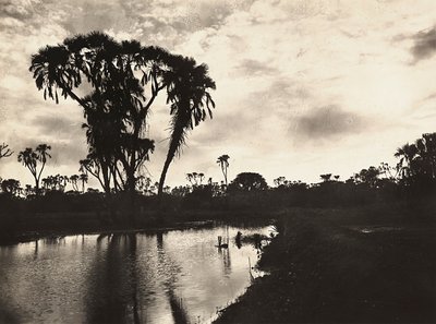 Budowanie imperium w epoce faszystowskiej: dolna równina zachodnia, 09.05.1936 (zdjęcie czarno-białe) autorstwa Modestino Baldinetti