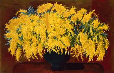 Mimozy autorstwa Moise Kisling