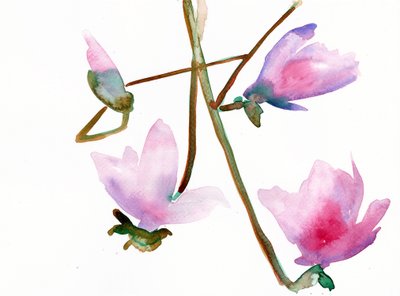 Magnolia 1, 2022 (akwarela na papierze tłoczonym na zimno Langton, 300 g/m²) autorstwa Monica Perez Vega